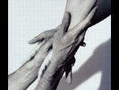 Joerg von Mueller, Photography, Hermes