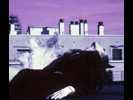 Joerg von Mueller, Photography, Tamara, Dior